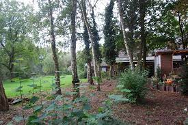 Bitte betrachten sie die grundrisse als raumvorschlag. Hotel Landgasthaus Waldesruh Nettetal Menu Preise Restaurant Bewertungen Tripadvisor