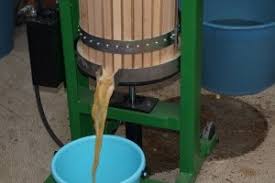 Contrar credinţei populare, că păduchii prevestesc o îmbogăţire iminentă, specialiştii. Suc Natural De Mere Ecomagazin Ro