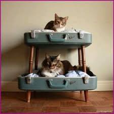 Home Sweet Home Die 10 Schonsten Katzenhauschen Zum Selbermachen Cat Bed Cat Bunk Beds Cat Diy