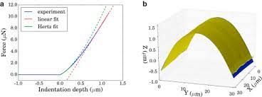 Feb 11, 2020 · it's quite an experience hearing the sound of your voice carrying out to a over 100 first year dental students. Quantifying Hydrostatic Pressure In Plant Cells By Using Indentation With An Atomic Force Microscope Sciencedirect
