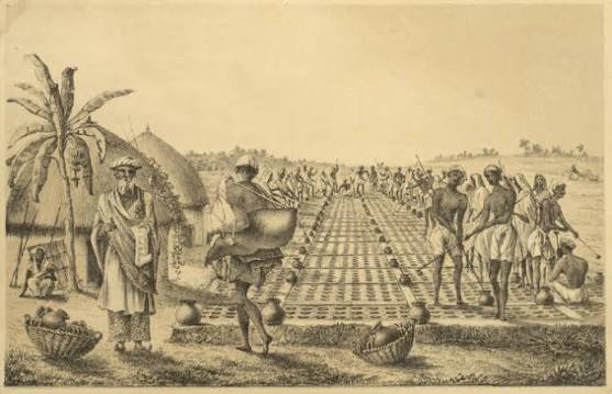 Wanderings of a pilgrim in search of the picturesque, volume 1 | Project Gutenberg