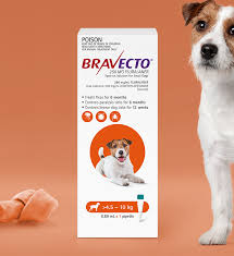 Long Lasting Flea Tick Treatment For Dogs Bravecto