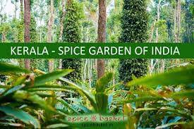 New jersey is the us state that's known as the garden state. Which State Is Known As India S Spice Garden Letsdiskuss