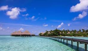 Earn Qmiles For Hotel Stays Car Hire Qatar Airways