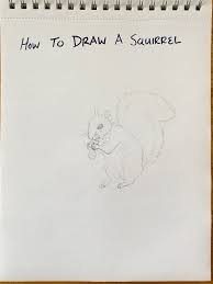 Check spelling or type a new query. How To Draw A Squirrel Carnegie Museum Of Natural History