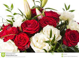 For your convenience, there is a search service on the main page of the site that would help you find images similar to bunch of flowers images download with nescessary type and size. Elegant Bunch Of Flowers Images Free Download Top Collection Of Different Types Of Flowers In The Images Hd