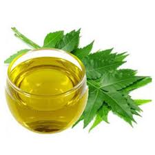 In that book, i read all about how neem is. Neem Oil For Hair Growth 6 Promising Benefits Of Neem Oil For Hair