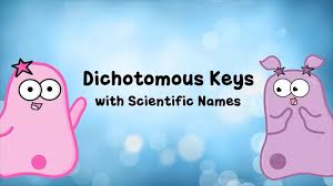 Apr 30, 2021 · proprofs, one of the popular quiz builder platforms, has more than 101 genetics quizzes which have already been played around 108824 times. Amoeba Sisters Dcmp Channel
