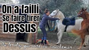 Aujourd'hui on va faire croire qu'on va tirer sur des inconnus, j'ai pris des risques pour cette première vidéo. Cette Video Aurait Pu Tourner Au Drame On A Failli Se Faire Tirer Dessus Plus Jamais Ca Youtube