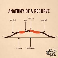 Home paginas para colorear deportes varios deportes arco y flecha. 100 Ideas De Arco Y Flecha Arqueria Archery Tiro Con Arco