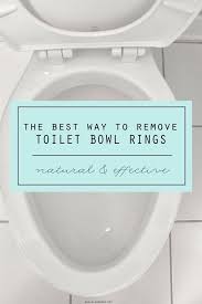 The Best Way To Remove Toilet Bowl Rings Toilet Bowl Ring Toilet Bowl Stains Hard Water Stain Remover