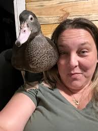 Can you identify the gender of the birds in the photo?