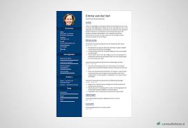 12 Lege Cv S Downloaden Incl 5 Schrijftips Lerensolliciteren