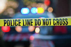 Over 100 emaciated, decomposing animals seized from Hill Country property