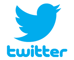 Image result for official twitter logo