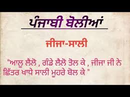 Jija Sali Happy Birthday Wishes In Hindi Shayari For Jiju 