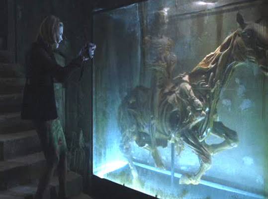 House on Haunted Hill (1999) | Cinema365