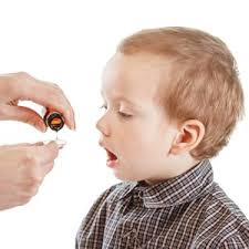 Humco Flavor Plus, 16 oz : Amazon.ca: Health & Personal Care