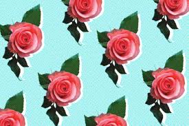 The vinegar results from apple cider that has fermented. Beauty Uses For Apple Cider Vinegar Rosewater Coconut Oil Honey And Argan Oil Teen Vogue