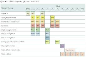 Simulador já se encontra online e foi acedido por mais de 23 mil utilizadores. Programa Nacional De Vacinacao Mgfamiliar