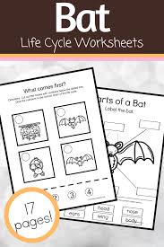 Bat Life Cycle Worksheets In 2020 Life Cycles Life Cycle
