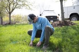 When watering a new lawn, the best way of keeping the seed moist is by lightly sprinkling the seeded area of the lawn at least two to three times a day. Watering New Grass Seed How Much To Water And Care Tips