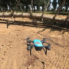 Oops L Arbre Drone Dji Djispark Fpv Xavdrone Dji Spark Dji Fpv