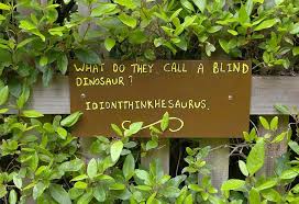 Read on to find 35 hilarious happy birthday jokes for children that will make your birthday party a super hit event! 20 Funny Dinosaur Jokes For Kids