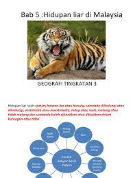 Malah, bilangan binatang liar berkenaan yang masih terdapat di hutan malaysia termasuk sabah dan sarawak amat kecil katanya, kerajaan perlu mewujudkan laluan khas bagi membolehkan haiwan liar melintas di kawasan jalan dan lebuh. Bab 5 Hidupan Liar Di Malaysia T3