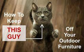 The Complete Guide To Keep Cats Off Outdoor Furniture Cat Repellant Outdoor Outdoor Furniture Outdoor