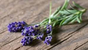 But others release pheromones that smell like receptive bee or fly females. Eo Tips For Life Make Fake Flowers Real