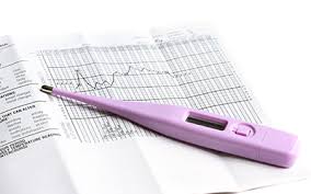 不妊相談 千葉レディースクリニック