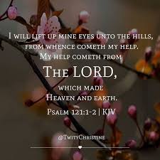  Les Feldick Bible Study Daily Online Video Bible Study Scripture Verses Psalms Scripture Quotes