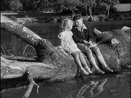 Jeux interdits) is a 1952 french war drama film directed by rené clément and based on françois boyer's novel jeux interdits. Jeux Interdits Debut Et Fin Alternatifs Youtube