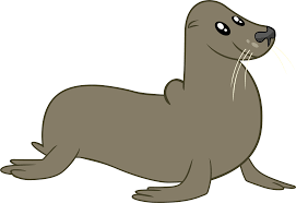 Seal Cartoon Png 6 Png Image 1865166 Png Images Pngio Cartoon image of a pinniped animal, big fins. pngio com