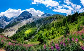 Italy Stelvio National Park Famous Road To Stelvio Pass In Ortler Alps Alpine Landscape Buy This Stock Photo And Explore Similar Images At Adobe Stock Adobe Stock