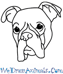 How To Draw A Boxer Dog Face Dog face step by step easy.