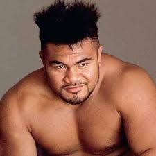 David Tua 53 Career Fights On boxing dvd,s