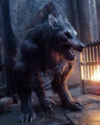 Werewolves are the predominant species of werecreature in the teen wolf universe. Werewolf Underworld Wiki Fandom