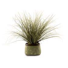 D W Silks Onion Grass In Oblong Ceramic Planter Ceramic Planters Planters Plants