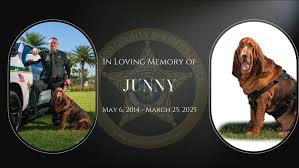 Brevard County Sheriff's Office, Florida (Official)