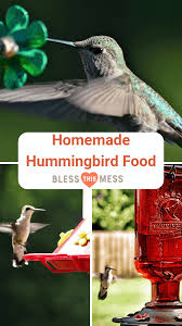 Do not use artificial sugars. The Best Homemade Hummingbird Food Recipe Bless This Mess