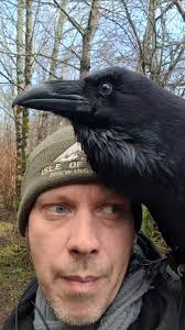 How to Befriend a Raven: Insights and Tips