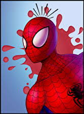 A collection of the top 45 spider man wallpapers and backgrounds available for download for free. Spider Man Wallpaper 44 Images Pictures Download