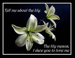 The Lily Imagine Me You Printy