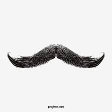 Moustache Creative Hair Png Transparent Clipart Image And Psd File For Free Download Beard Vector Hair Png Photoshop For Photographers