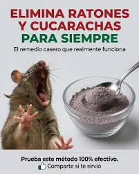 Con esta mezcla evitaras que lleguen a tu casa rat0nes y cucar... Ver más