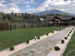 We did not find results for: Top 10 Pensiuni De Poveste Din Romania La PreÈ Corect Sub 130 De Lei Pe Noapte Camera