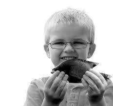 Council ponders payroll tax