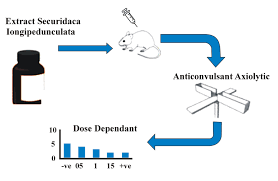 Image result for Vernonia longipedunculata